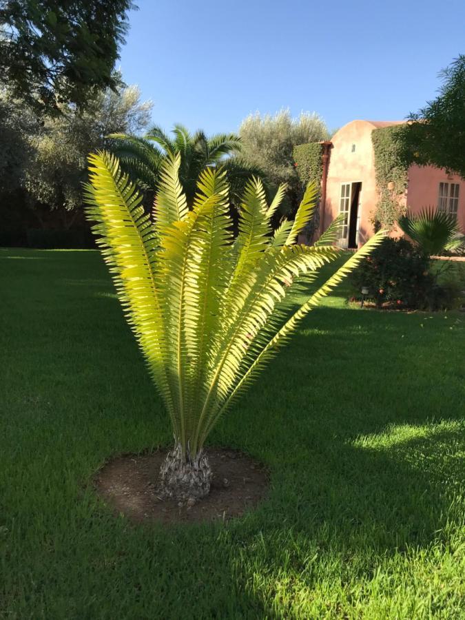 Villa #1 'Rosalie' Marrakesh Exterior photo